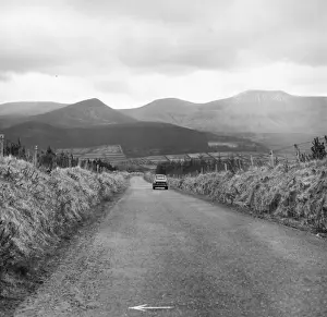 Tipperary Road