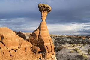 Images Dated 27th August 2016: Toadstool Hoodoo - Grand Staircase-Escalante NM, Utah