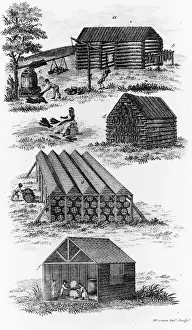Tobacco