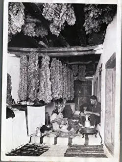 Yugoslavia Prints: Tobacco Farmers Preparing Their Product