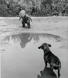 Toddler Playing with Dog