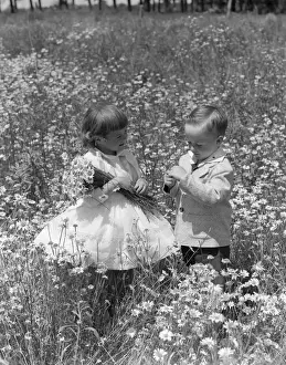 New England Prints: Toddlers In Field Of Daisies. They Wear Fancy Clothes Dress And Suit