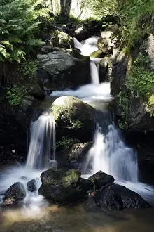 Cataract Prints: Todtnauer Wasserfall waterfalls in Todtnau in the Black Forest