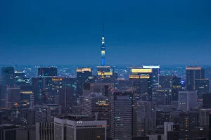 Images Dated 4th October 2014: Tokyo Skyline