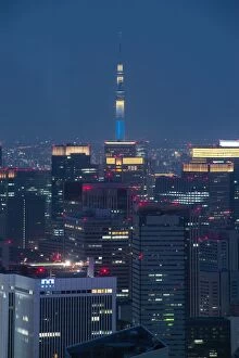 Images Dated 4th October 2014: Tokyo skytree at night from Roppongi hill