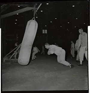 Tom Brown Hitting Bags