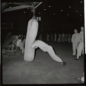 Tom Brown Hitting Bags