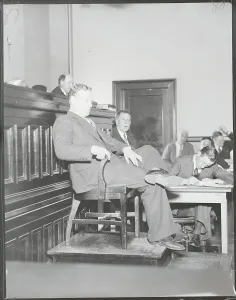 Decatur Prints: Tom Taylor Rousseau Testifying