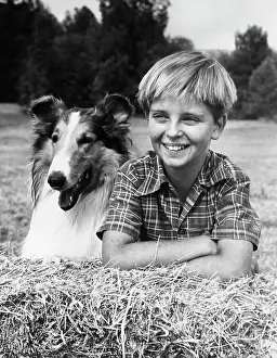Television Still Prints: Tommy Rettig with Lassie