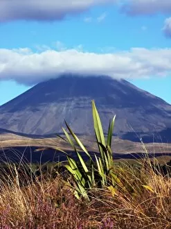 Volcano Gallery: Tongario National Park