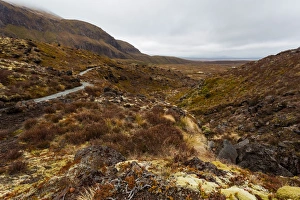 Images Dated 20th October 2015: Tongariro Alpine crossing