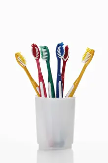 Tooth Prints: Toothbrushes in a toothbrush tumbler