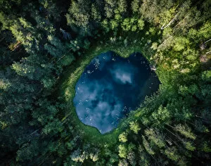 Top-down aerial view of a small pond in the middle of a forest