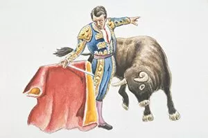 Torero in embroidered blue costume holding red cape (muleta), bull advancing immediately to right