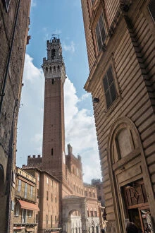 Town Hall Gallery: Torre del Mangia, Palazzo Pubblico, Siena, Italy