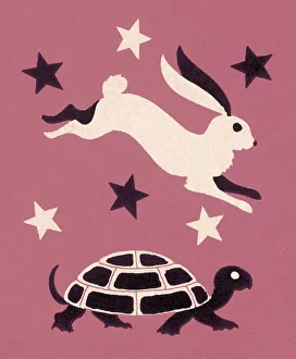 Sports Race Gallery: Tortoise and Hare