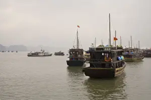 Anchor Prints: Tour boats in Vietnam under cloudy sky