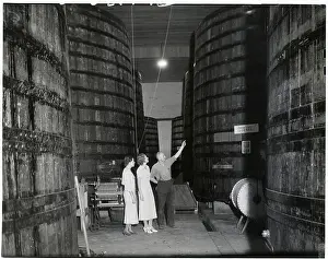 Winery Prints: Touring Inside of Winery