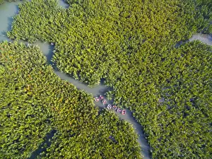 Tourist sit on circle boat to visit water palm (nipa) forest in Hoian