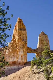 Images Dated 9th June 2013: Tower Bridge rock formation, Bryce Canyon National Park, Utah, USA