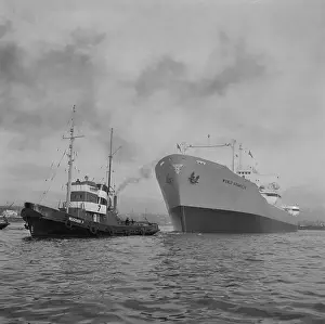 Hamburg Prints: Towing the World Grandeur Ship