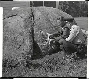 Bethlehem Prints: Town Officials Examining Dinosaur Footprint Impression