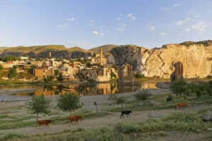 Images Dated 17th May 2014: Townscape with the Tigris River, Hasankeyf, Batman Province, Southeastern Anatolia Region