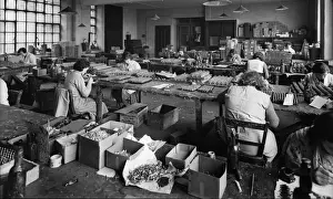 Toy Soldier Factory