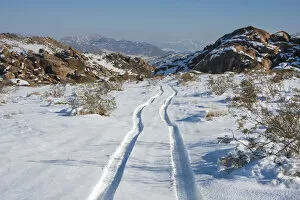 Images Dated 20th December 2009: Tracks in snow, High Desert, California, USA