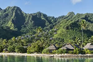 Images Dated 11th March 2013: Traditional buildings on a hill, Moorea, French Polynesia