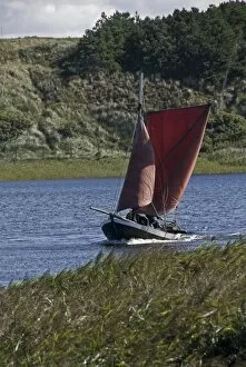 Jutland Gallery: Traditional fishing boat with foresail and spritsail in the RinkAzA┼¥bing fjord at Nymindegab