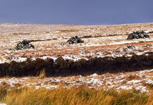 Traditional turf cutting, Ireland