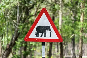Danger Gallery: Traffic signs, warning of crossing elephants, Nagarhole National Park, Karnataka, India