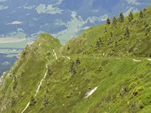 Mountainside Prints: Trail on the Kitzbueheler Horn at St. Johann, Tyrol, Austria, Europe