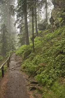 Haze Gallery: Trail between Obere Schleuse and Hermannseck, Saxon Switzerland