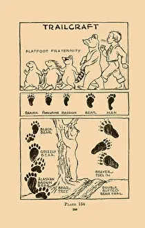 Footprints Prints: Trailcraft - Flatfoot