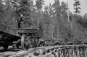 Rail Transport Prints: Train On Bridge