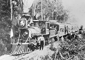 Miami Prints: Train Headed for Miami