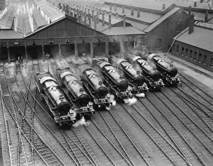 Great Western Railway (GWR) Collection: Train Sheds