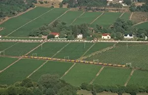 Train Traveling Through Vineyard Landscape - Aerial View