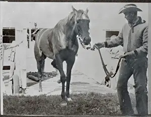 Camden Prints: Trainer Guiding Injured Horse in Sling