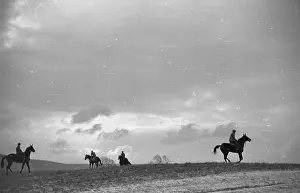 Skyscape Prints: Training Gallop