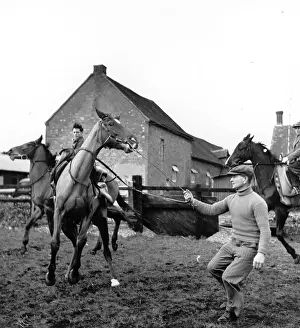 Equestrian Prints: Training Horses