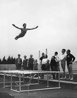 Trampoline Diving