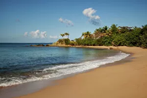 Images Dated 17th February 2010: Tranquil beach landscape, Vieques, Puerto Rico, Caribbean