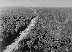 Trans Amazon Highway