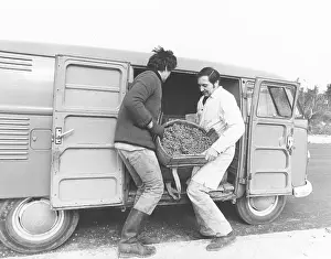 Transport of a wine butte