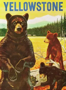 Arc0010216 Prints: Travel Poster For Yellowstone