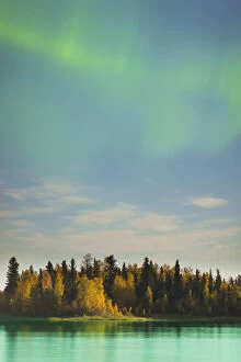 Aurora Borealis Collection: tree, autumn, fall color, sky, landscape, aurora borealis, lakeshore, forest, glowing