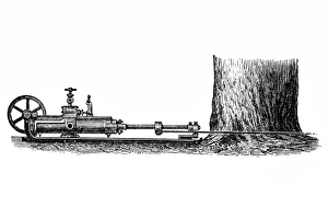 Images Dated 23rd March 2016: Tree cutting steam machine